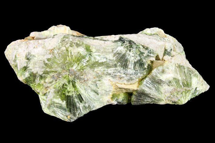 Radiating, Green Wavellite Crystal Aggregation - Arkansas #163077